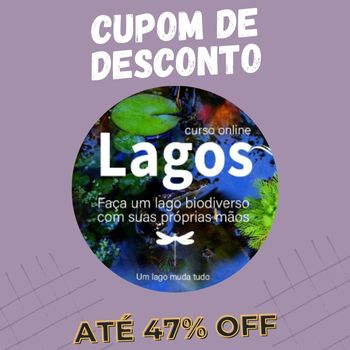Curso Lagos Artesanais cupom